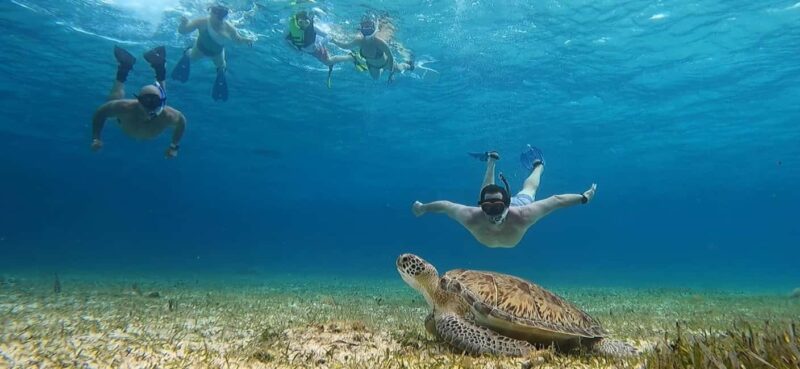 Cozumel, El Cielo: 4-Hour Shared Snorkeling Tour - Relaxing at El Cielito Beach with Snacks and Scenic Views