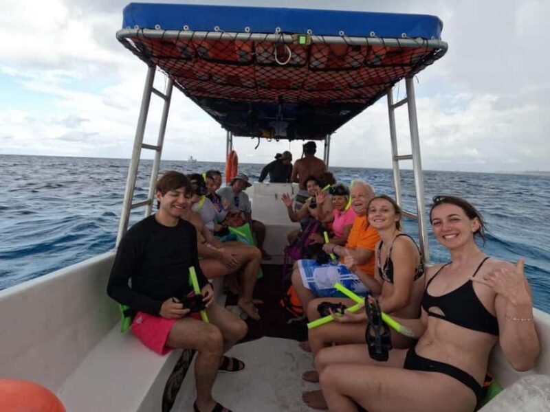 Cozumel, El Cielo: 4-Hour Shared Snorkeling Tour - Logistics and Practical Tips for the Tour