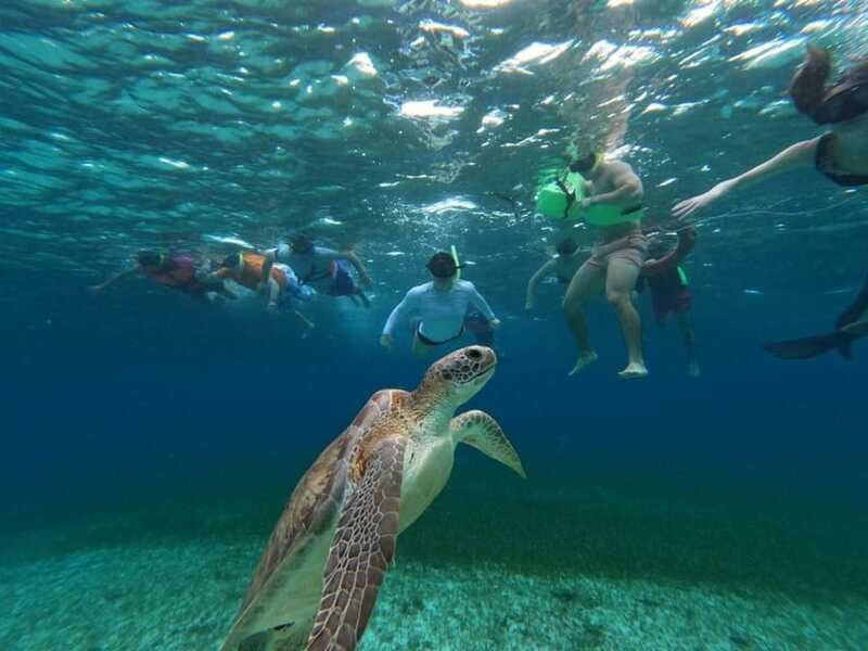 Cozumel, El Cielo: 4-Hour Shared Snorkeling Tour - The Overall Value and Suitability
