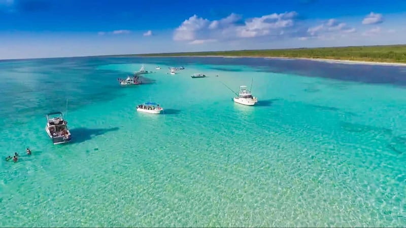 Cozumel: El Cielo & Palancar Snorkel with Open Bar & Ceviche - The Unique Charm of the Cozumel Snorkel Adventure