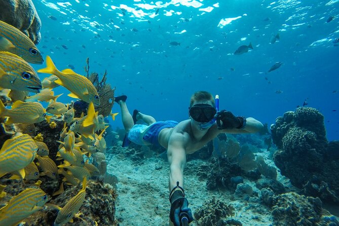 Cozumel El Cielo Sandbar and Reef Snorkeling Private Adventure - The Experience Provider and Cancellation Policy