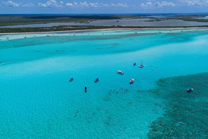 Cozumel: El Cielo Snorkel, KUZÁ Beach Day Pass, Buffet & Open Bar - Practical Info: Meeting Point, Timing, and Accessibility