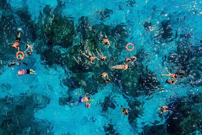 Cozumel: El Cielo Snorkel, KUZÁ Beach Day Pass, Buffet & Open Bar - Who Will Most Enjoy This Tour?