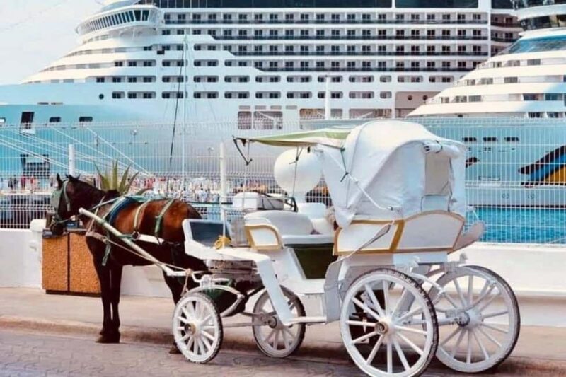 Cozumel: Electric Carriage Tour - Starting Locations and Convenient Drop-offs