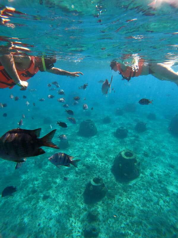 Cozumel: Excursion Crystal Boat Tour with Snorkel & Drinks - Cozumel’s Transparent Boat: A Unique Perspective on Marine Life