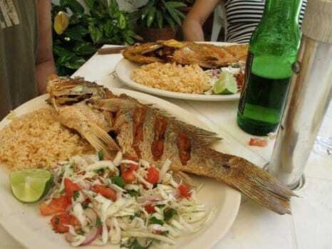 Cozumel Food Tour - A Flavorful Journey Through Cozumel’s Local Eateries for $90