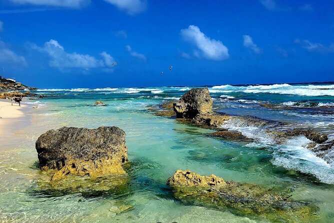 Cozumel Jeep 4x4 Tour South Tip with Lunch and Snorkel - Discovering the Biodiversity at Punta Sur Eco Beach Park