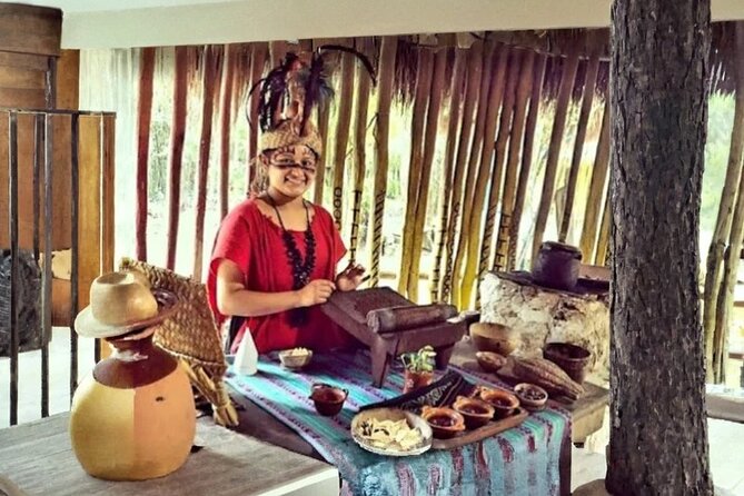 Cozumel Jeep 4x4 Tour South Tip with Lunch and Snorkel - Comfortable Transportation and Vehicle Features