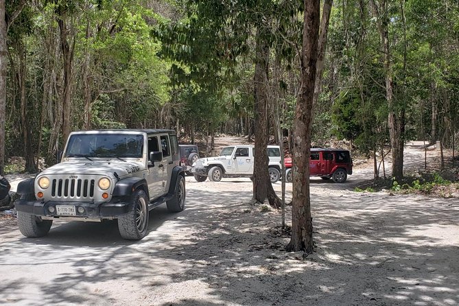 Cozumel Jeep Adventure to Jade Caverns with Lunch and Snorkel - Starting Point and Logistics in Cozumel