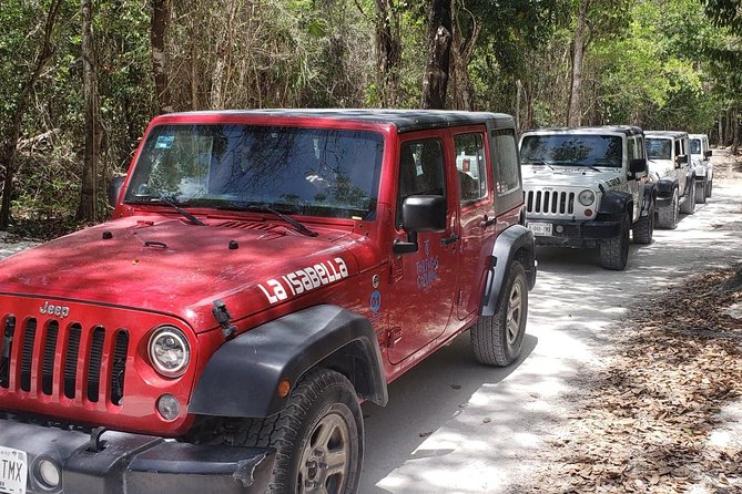 Cozumel Jeep Adventure to Jade Caverns with Lunch and Snorkel - Tequila Tasting at Rancho Alejandra