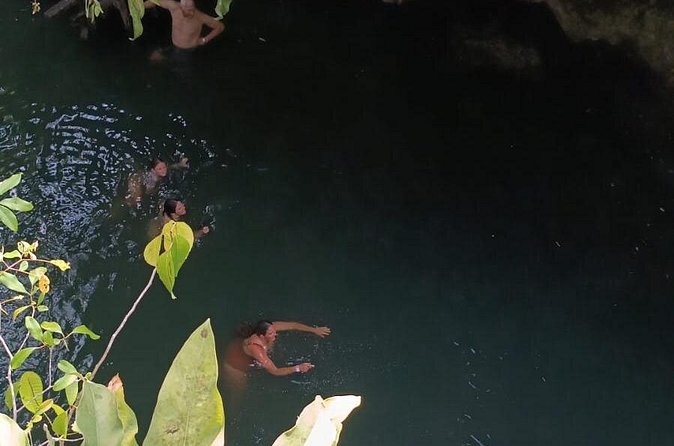 Cozumel Jungle ATV Tour Adventure and Caverns with transfer - Insights from Past Participants