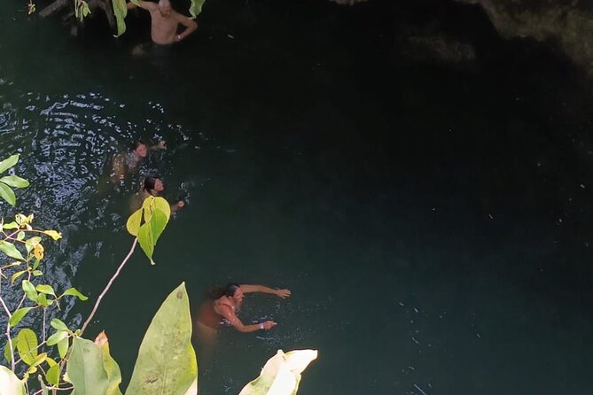 Cozumel Jungle ATV Tour Adventure and Caverns with transfer - Who Will Enjoy This Cozumel ATV Tour?