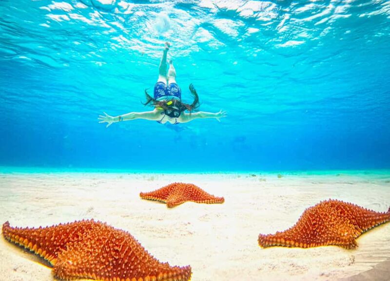 Cozumel: KUZÁ Day Pass, Buffet, Open Bar & El Cielo Snorkel - Key Points