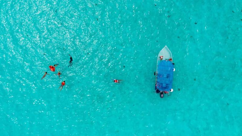 Cozumel: KUZÁ Day Pass, Buffet, Open Bar & El Cielo Snorkel - Cozumel: An Iconic Snorkeling Destination with Expert Guides