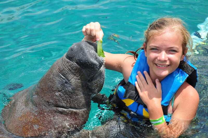 Cozumel: Manatee Encounter, Chankanaab Admission and Buffet - Additional Park Attractions and Facilities
