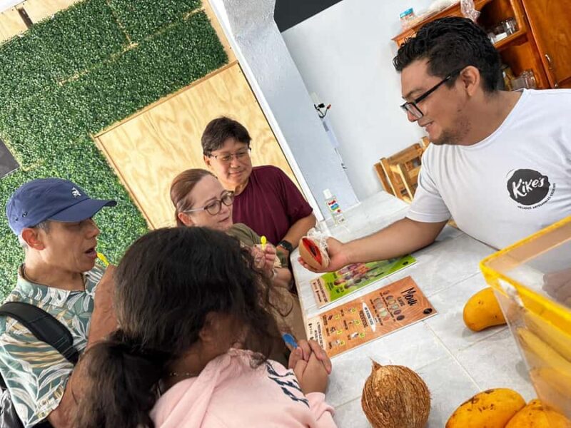 Cozumel Mayan Experience and San Gervasio Mayan Ruins - Key Points