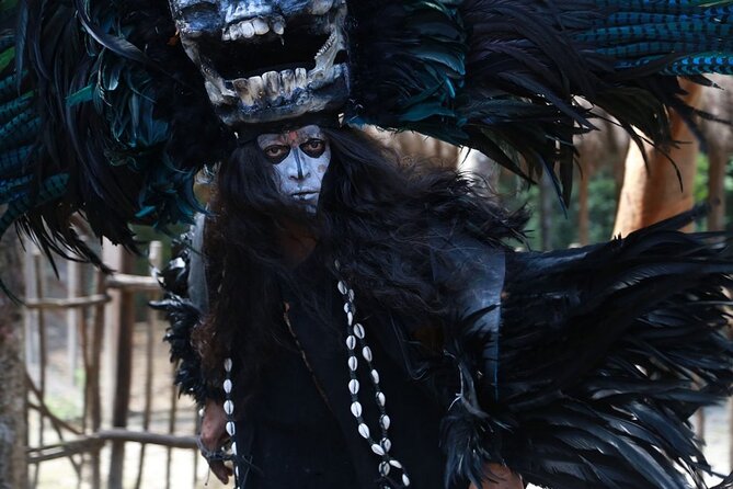 Cozumel Mayan Heritage by Jeep - Visiting El Caracol and Colombia Lagoon for Crocodile Observation