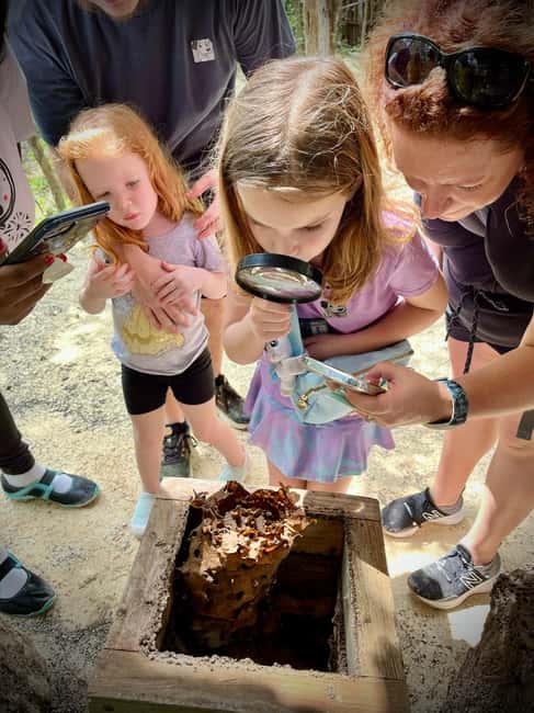 Cozumel: Mayan Roots and Local Tastes Guided Tour - Starting Point in Cozumel: Downtown and Malecon