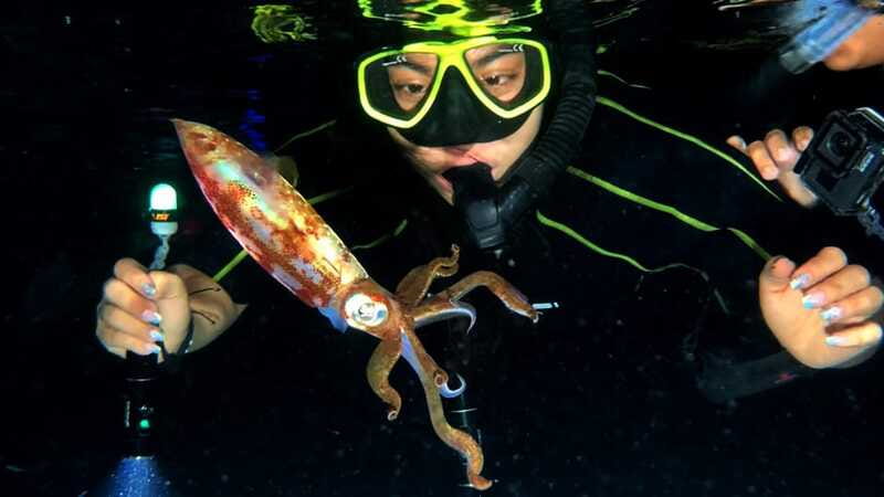Cozumel: Night Snorkel Adventure - Comparing This Tour to Similar Experiences