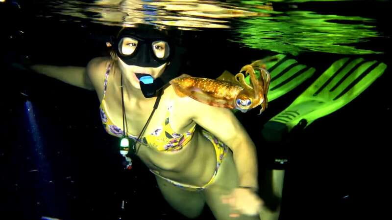 Cozumel: Night Snorkel Adventure - The Experience Provider: Highlife Mex