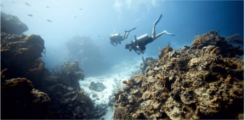 Cozumel: Ocean Dive - Starting Point: Cozumel’s Underwater Hotspots