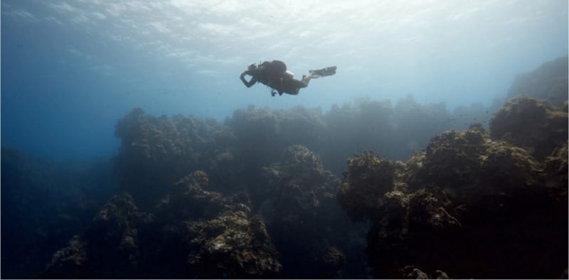 Cozumel: Ocean Dive - Cozumel: Ocean Dive – An Underwater Adventure for Every Diver