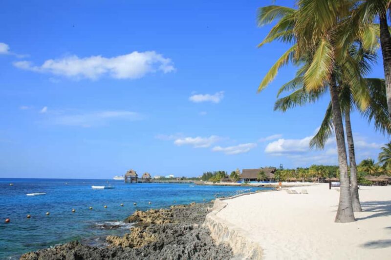 Cozumel: Official Chankanaab Park and Snorkeling with Lunch - Exploring the Botanical Gardens and Blue Lagoon