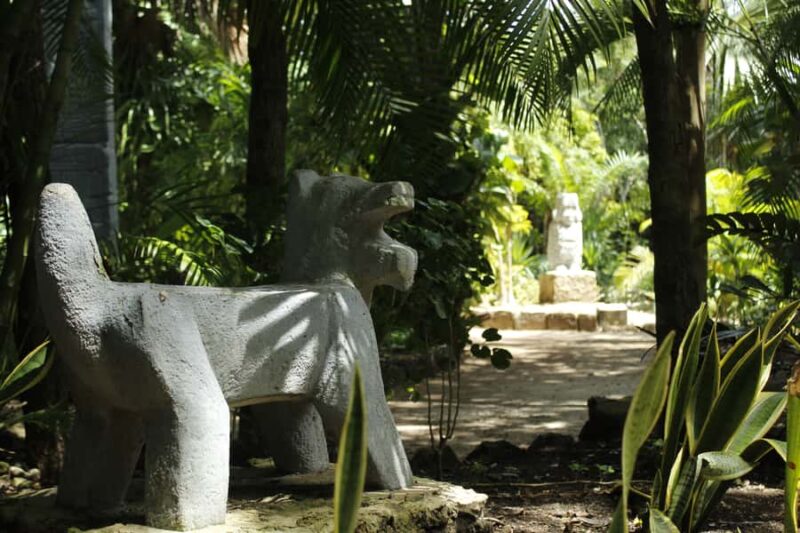 Cozumel: Official Chankanaab Park and Snorkeling with Lunch - Frequently Asked Questions