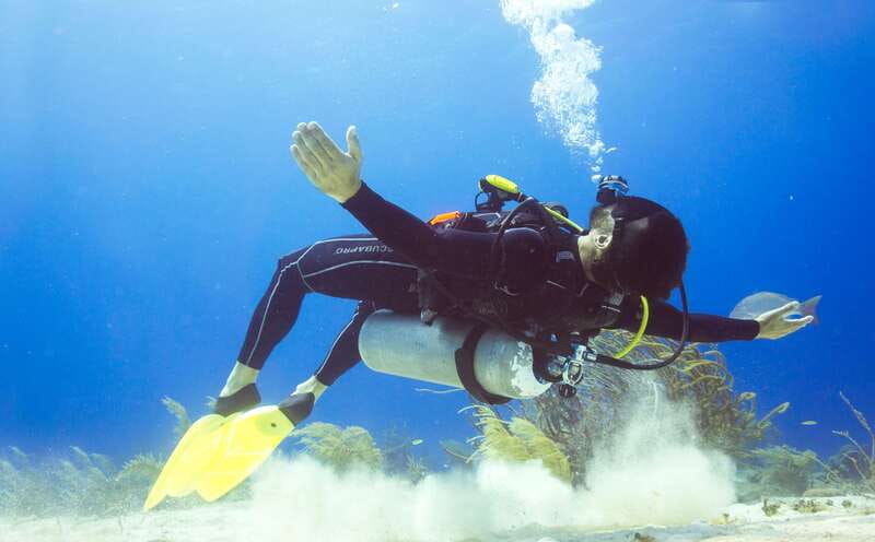 Cozumel: One Tank Scuba Dive and Full Chankanaab Park Access - Discover the Underwater Marvels of Cozumel for $57