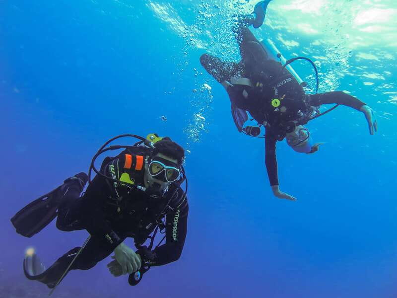 Cozumel: One Tank Scuba Dive and Full Chankanaab Park Access - Additional Activities and Park Amenities