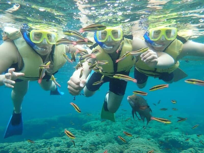 Cozumel: Palancar, Columbia and Cielo Reefs Snorkeling Tour - The Experience with Guides and Crew