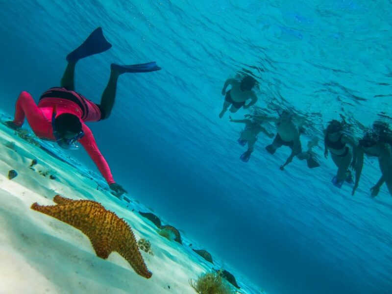 Cozumel: Palancar, Columbia and Cielo Reefs Snorkeling Tour - The Pros and Cons Based on Reviews