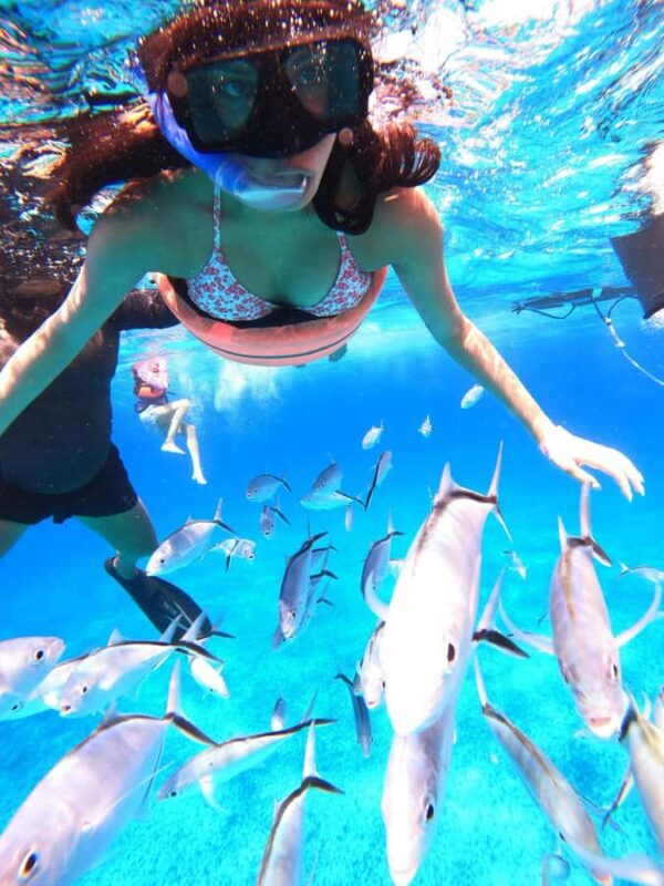 Cozumel: Palancar, Columbia and Cielo Reefs Snorkeling Tour - Accessibility and Practical Tips for Participants