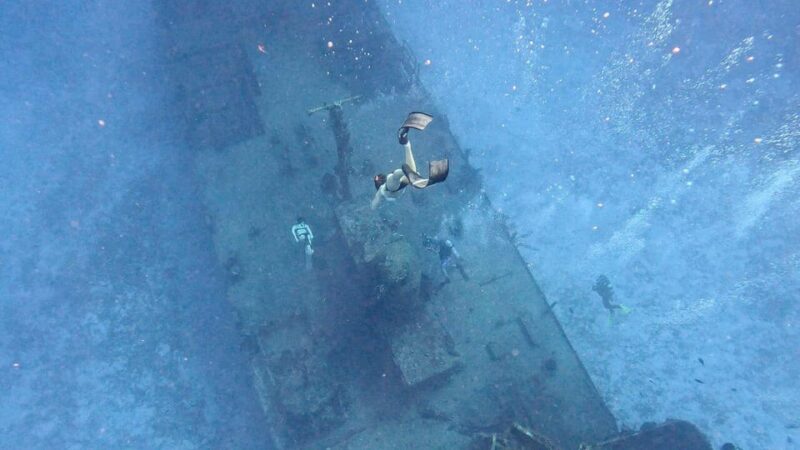 Cozumel, Passion Island: 4-Hour Private Tour - Flexibility and Booking Options for a Stress-Free Experience