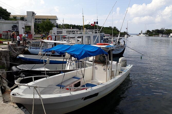 Cozumel Private 4-Hour Boat Tour to Passion Island - Snorkeling at the Sunken Ferry and Marine Life