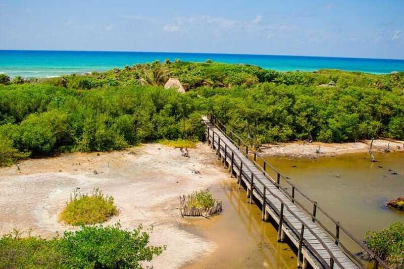Cozumel: Private Buggy Tour to Punta Sur Park All Inclusive - Physical Requirements and Practical Tips