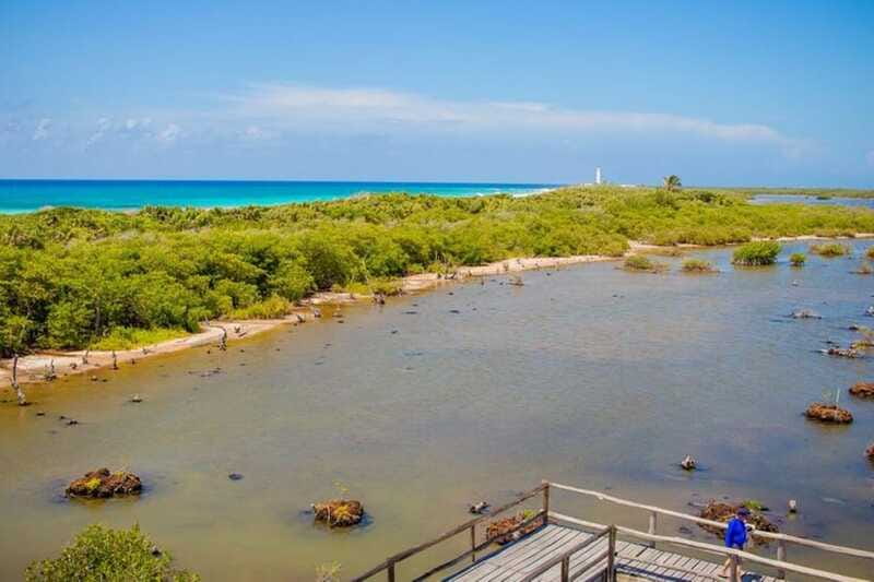 Cozumel: Private Buggy Tour to Punta Sur Park All Inclusive - Cost-Effectiveness and What’s Included