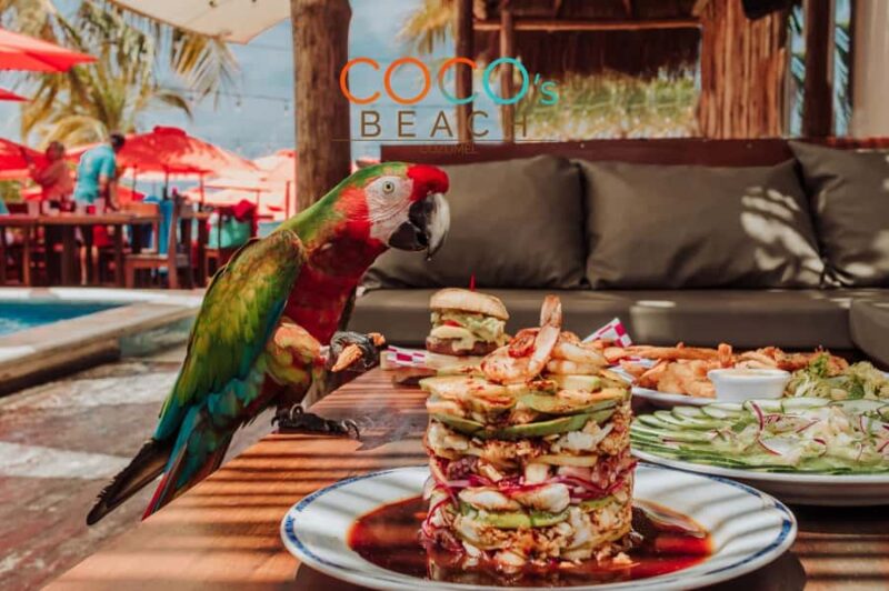 Cozumel: Private Jeep & ATV Tour to Jade Cavern w Snorkeling - ATV Ride to Jade Cavern: An Exciting Adventure