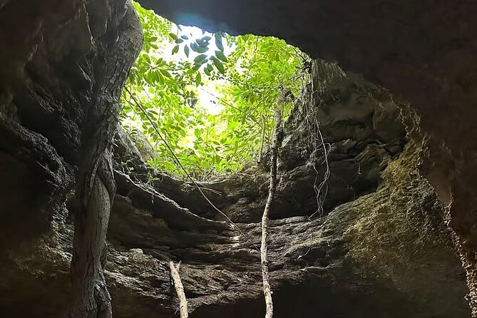 Cozumel Private Mayan caves & history Tour with cenote & Lunch - Relaxing Beach Stops at Playa Chen Rio and Playa San Martin