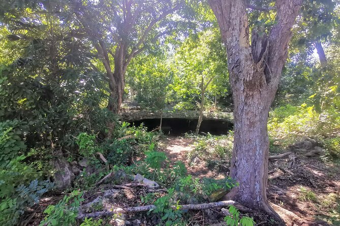 Cozumel Private Mayan caves & history Tour with cenote & Lunch - Authentic Mexican Lunch at El Mirador