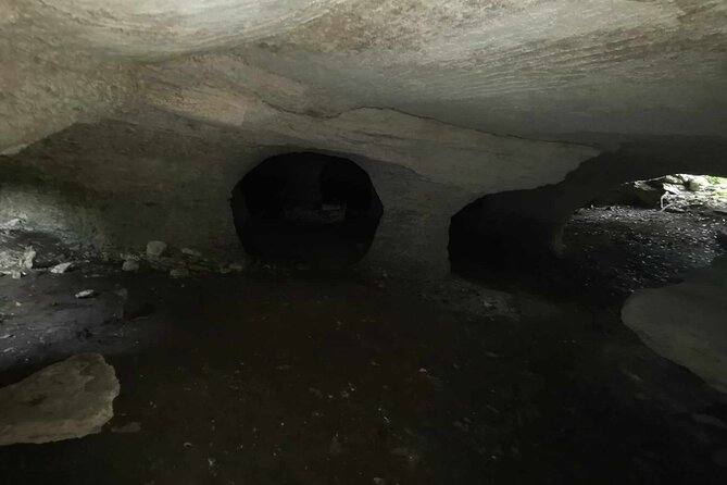 Cozumel Private Mayan caves & history Tour with cenote & Lunch - Optional Stop at Mojito Factory and the "Welcome to Miami" Bar