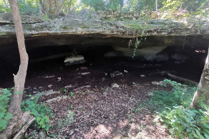 Cozumel Private Mayan caves & history Tour with cenote & Lunch - Cenote Aerolito de Paraiso for a Natural Swim