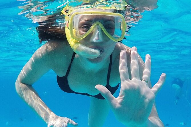 Cozumel: Private Snorkel Experience at Skyreef Beach Club - Explore Cozumel’s Highlights in a Private 5-Hour Adventure for $100