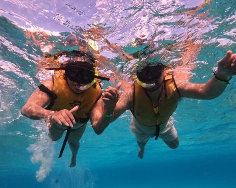 Cozumel: Private Snorkel Experience at Skyreef Beach Club - What Makes the Skyreef Beach Club Snorkeling Special
