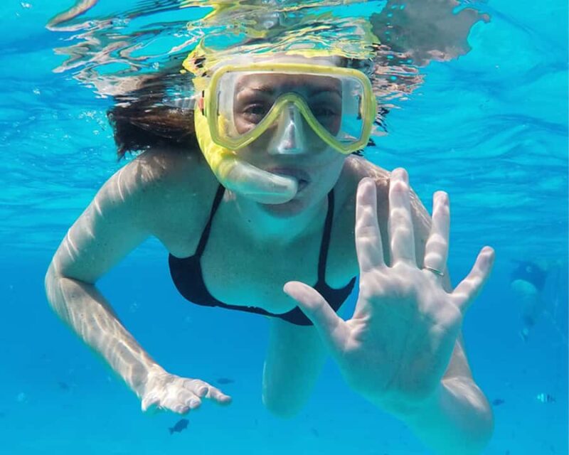 Cozumel: Private Snorkel Experience at Skyreef Beach Club - Logistics and Group Size Benefits