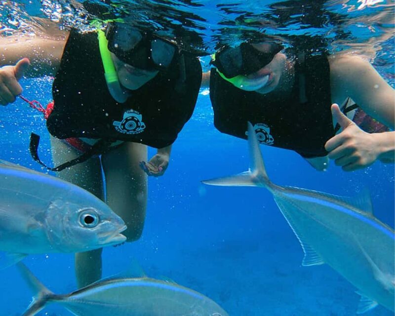 Cozumel: Private Snorkel Experience at Skyreef Beach Club - How This Tour Compares to Similar Cozumel Excursions