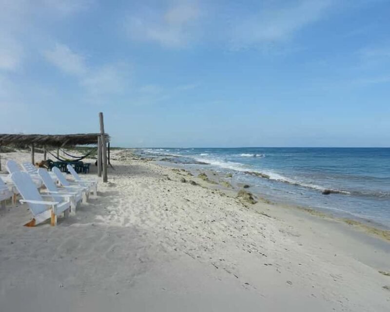 Cozumel: Private Snorkel Experience at Skyreef Beach Club - The Sum Up: A Calm and Cultural Cozumel Day