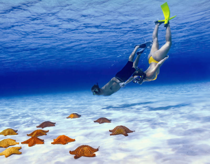 Cozumel: Private Snorkel Tour El Cielo + 3 Reefs Food Drinks - Exploring El Cielo: Starfish and Sea Turtles