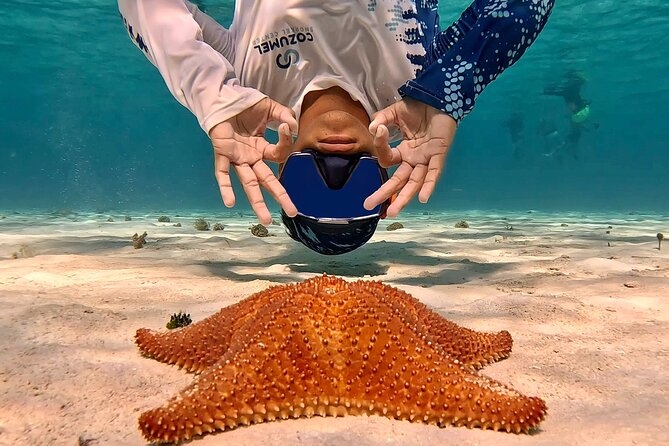 Cozumel Private Snorkeling and Charter Experience - Limitations and Considerations