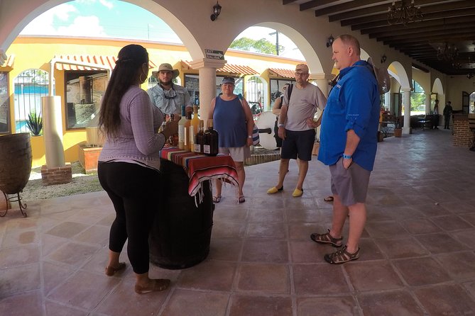 Cozumel Private Van Service with Snorkel Tour - Exploring Cozumel’s Highlights: Lush Nature or Beach Relaxation